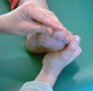 Der Fuss und der Kopf